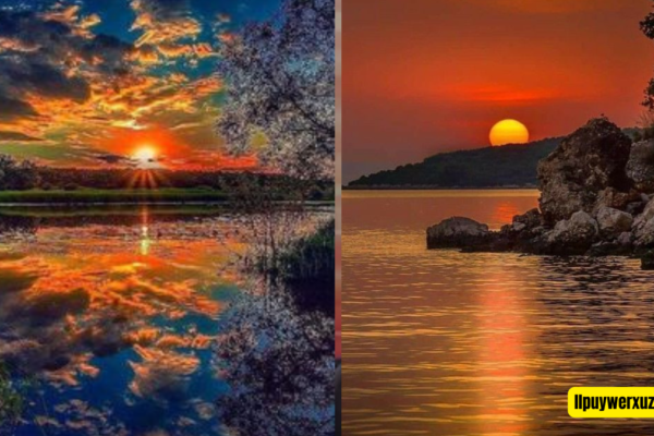 schöne bilder natur
